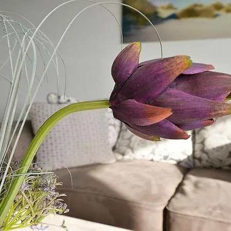 In Appartement *
